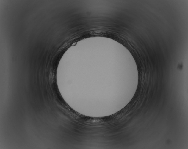 X0000091180324200708301222