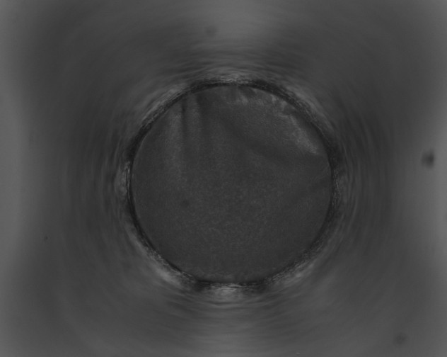 X0000091180325200708301221