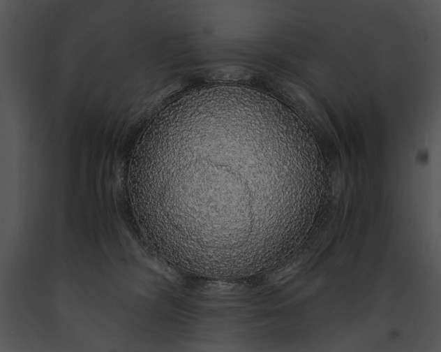 X0000091180326200708301221
