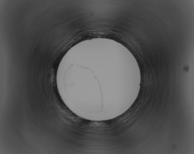 X0000091180328200708301221