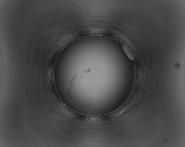 X0000091180329200708301221