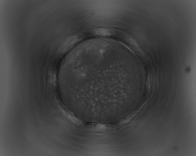 X0000091180330200708301221
