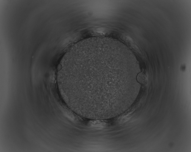 X0000091180331200708301221