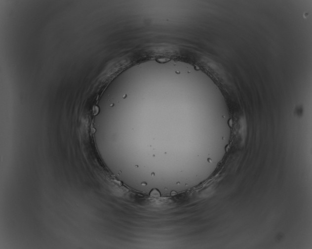 X0000091180333200708301221