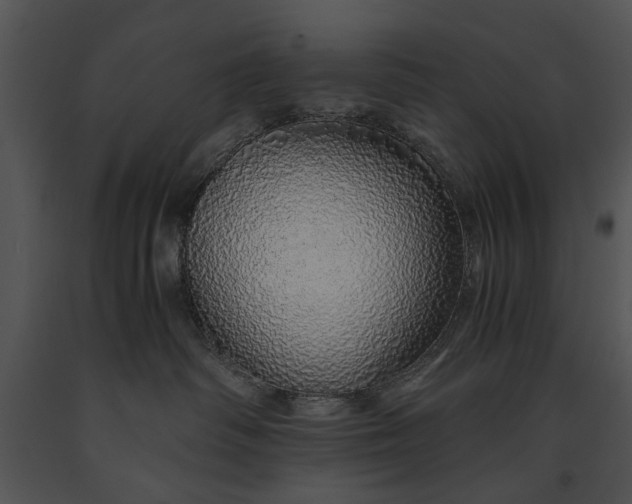 X0000091180334200708301221