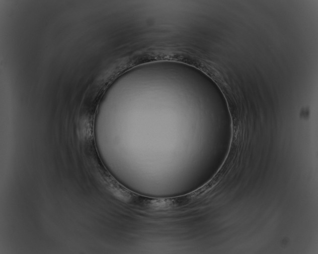 X0000091180335200708301221