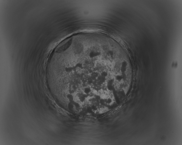 X0000091180337200708301221
