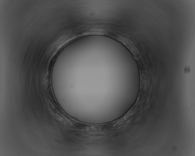 X0000091180338200708301221