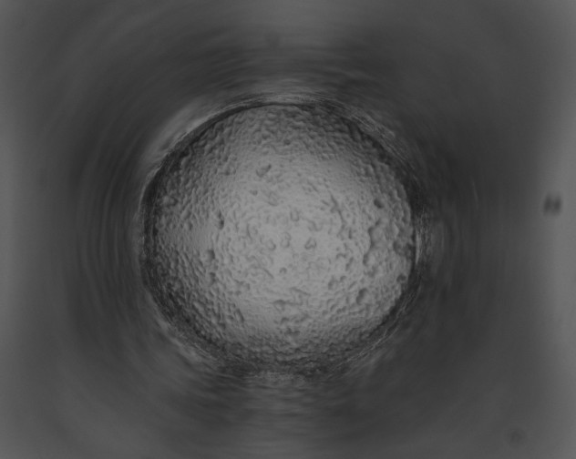 X0000091180339200708301221