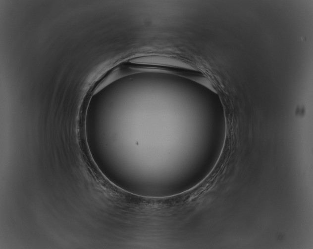 X0000091180340200708301221
