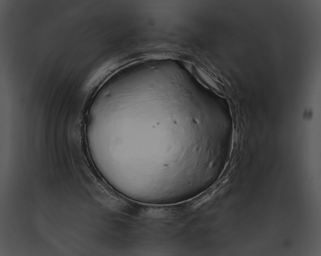 X0000091180341200708301221