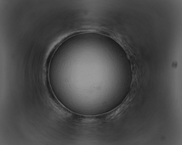 X0000091180342200708301221