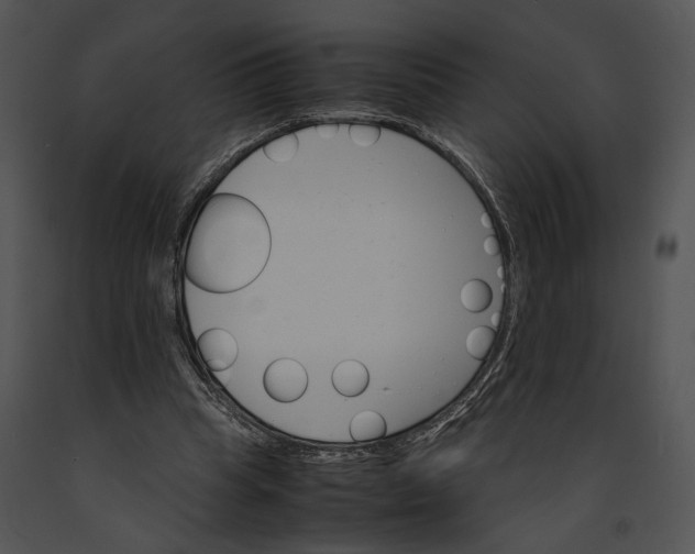 X0000091180345200708301221