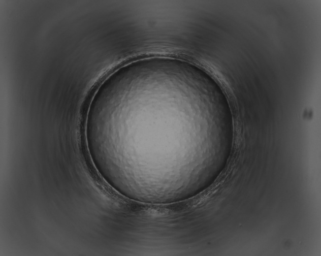X0000091180346200708301221