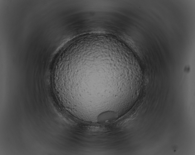 X0000091180347200708301221