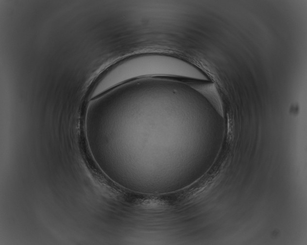 X0000091180348200708301221