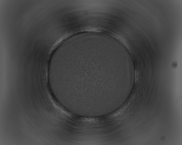 X0000091180349200708301221
