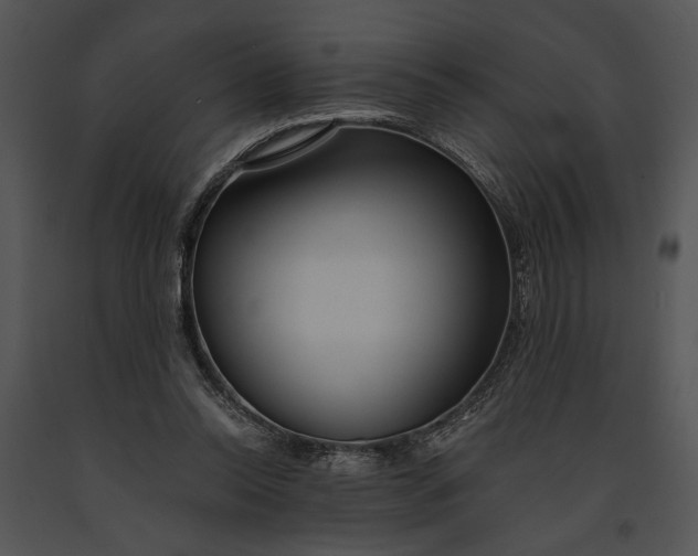 X0000091180350200708301221