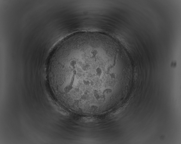 X0000091180351200708301221
