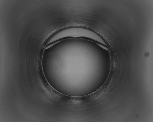 X0000091180352200708301221