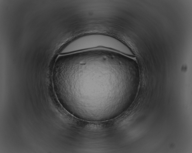 X0000091180354200708301221