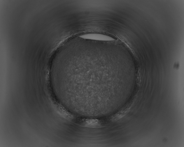 X0000091180355200708301221