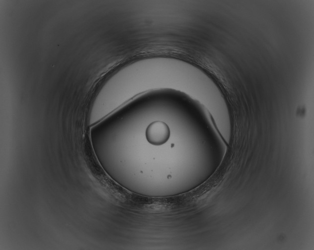 X0000091180356200708301221