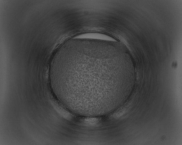 X0000091180357200708301221