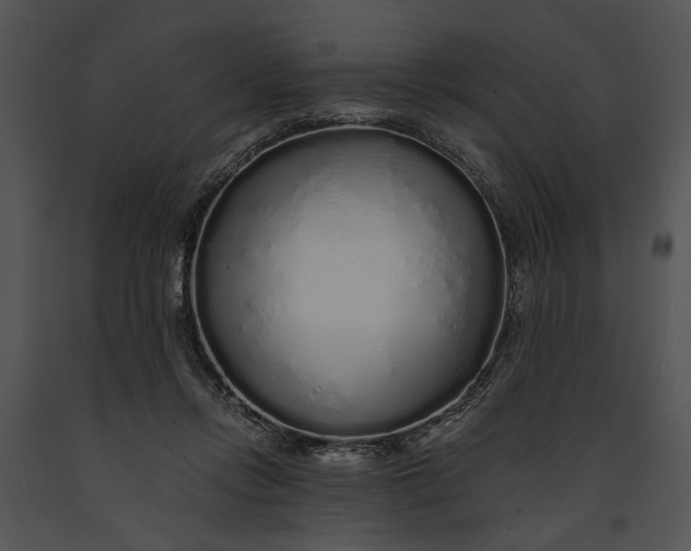 X0000091180358200708301221