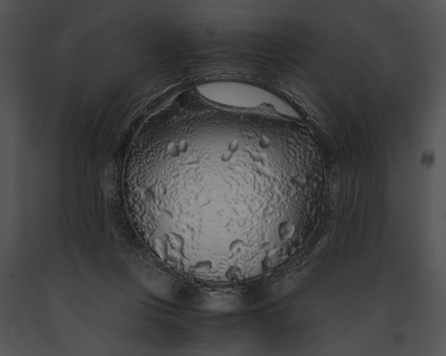 X0000091180359200708301221