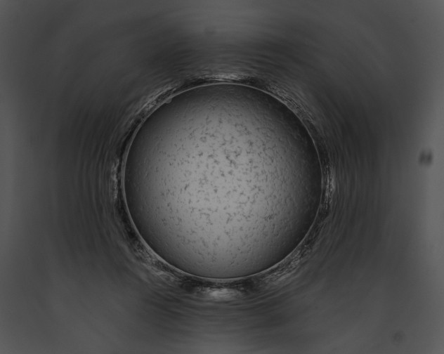 X0000091180360200708301221