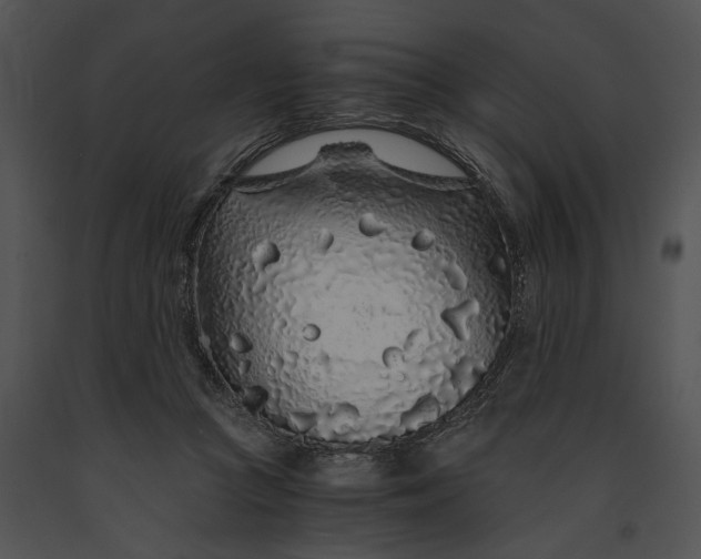 X0000091180361200708301221