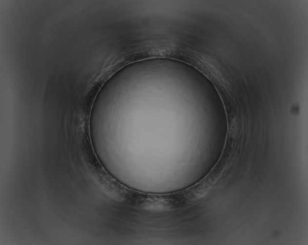X0000091180363200708301221