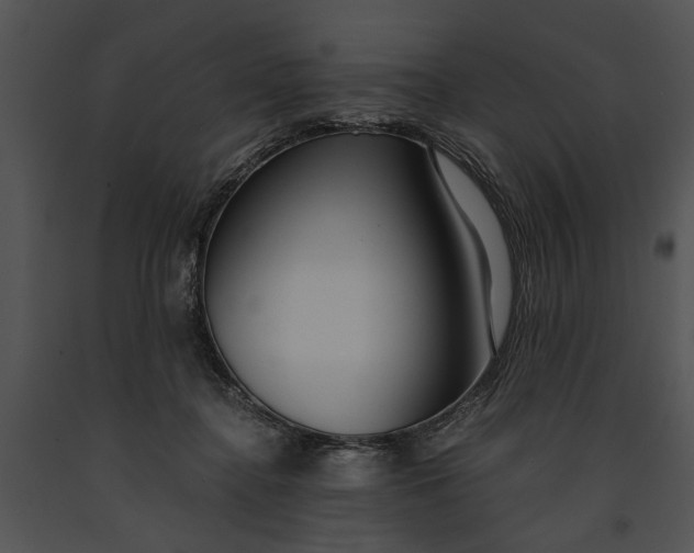 X0000091180364200708301221