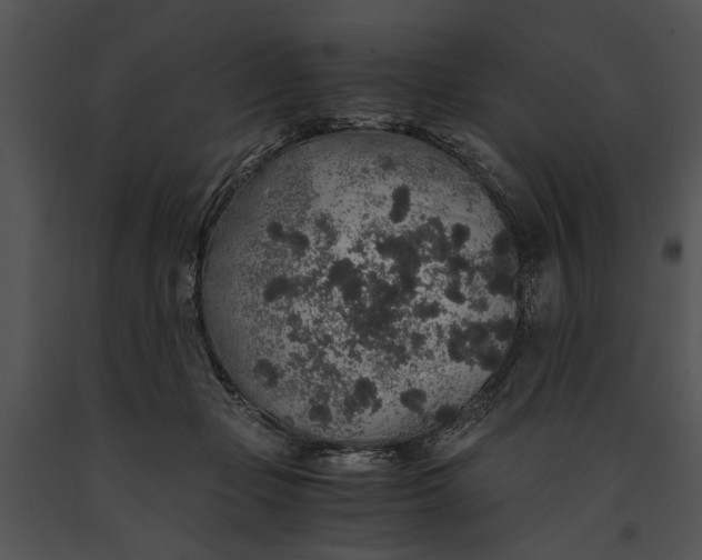 X0000091180365200708301221