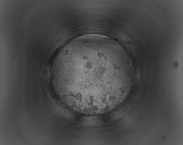 X0000091180367200708301221