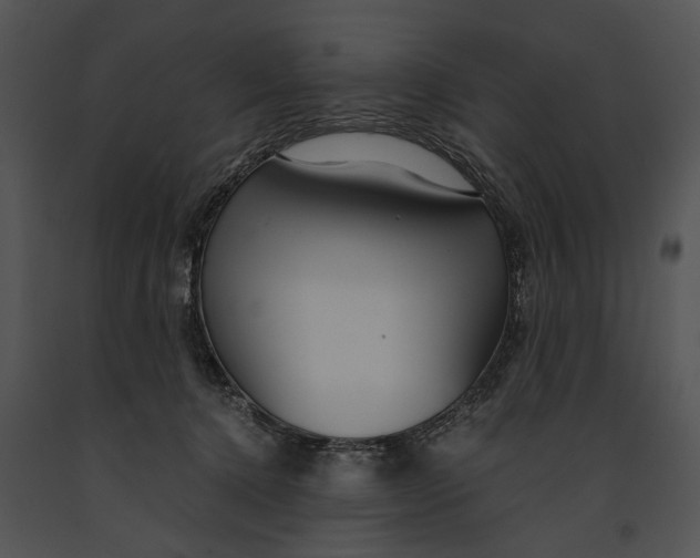 X0000091180368200708301221