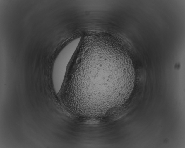 X0000091180369200708301221