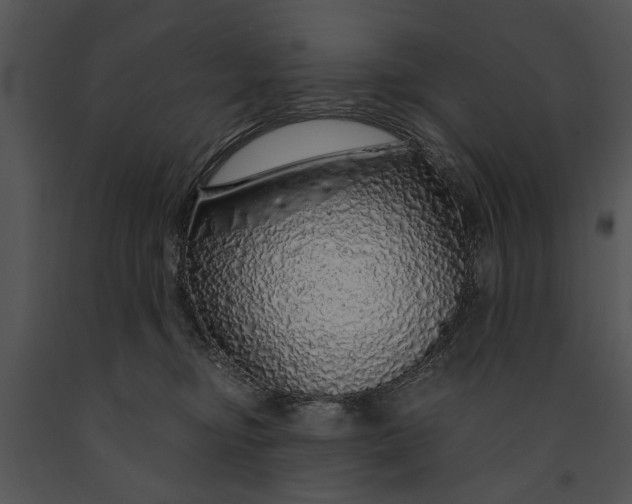 X0000091180374200708301221