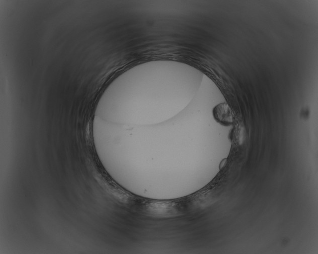 X0000091180375200708301221