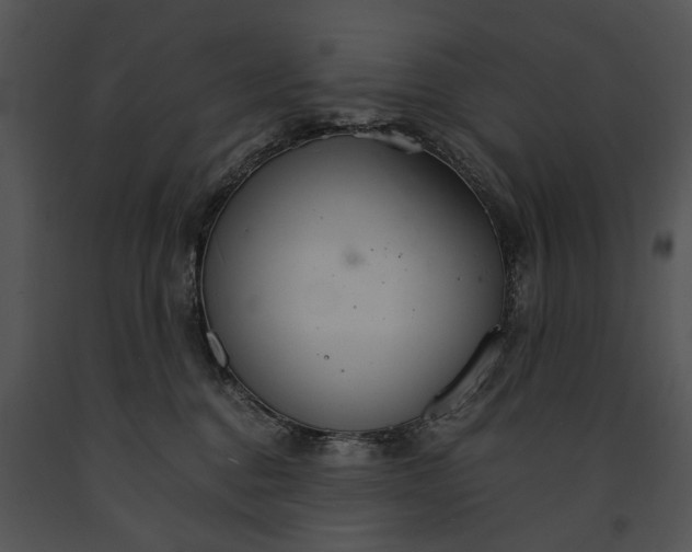 X0000091180376200708301221
