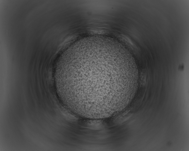 X0000091180377200708301221