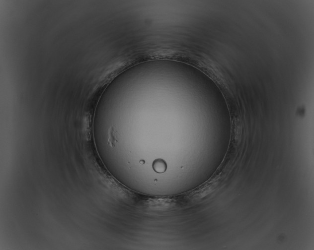 X0000091180378200708301221