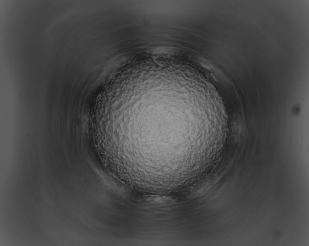 X0000091180379200708301221