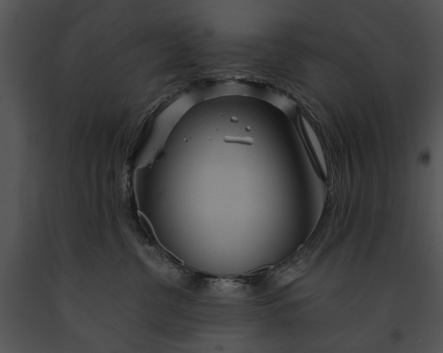 X0000091180380200708301221