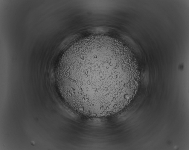 X0000091180381200708301221