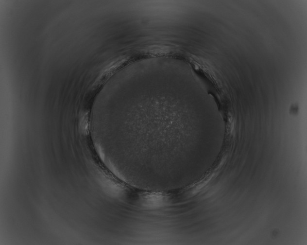 X0000091180383200708301221