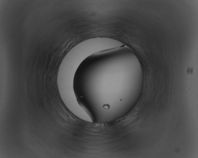 X0000091180384200708301221