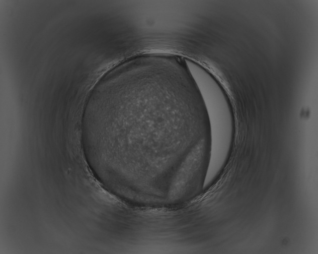 X0000091180385200708301221