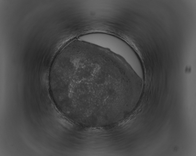 X0000091180386200708301221